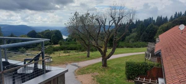 À vendre Appartement 23.51 m² - Gérardmer 88400