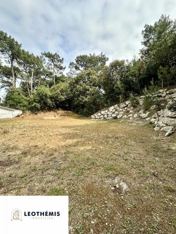 TERRAIN CONSTRUCTIBLE EN PLEIN COEUR DE RONCE