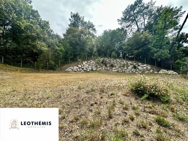 TERRAIN CONSTRUCTIBLE EN PLEIN COEUR DE RONCE