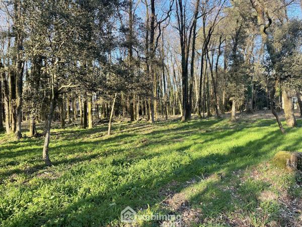 Terrain à bâtir 824 m² à Jard-sur-Mer 85520