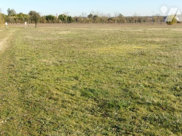 TERRAIN CONSTRUCTIBLE VIABILISE