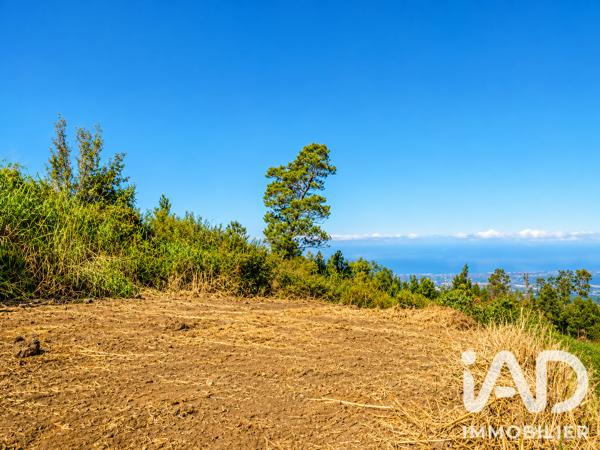 Terrain à vendre 546 m² Le Tampon