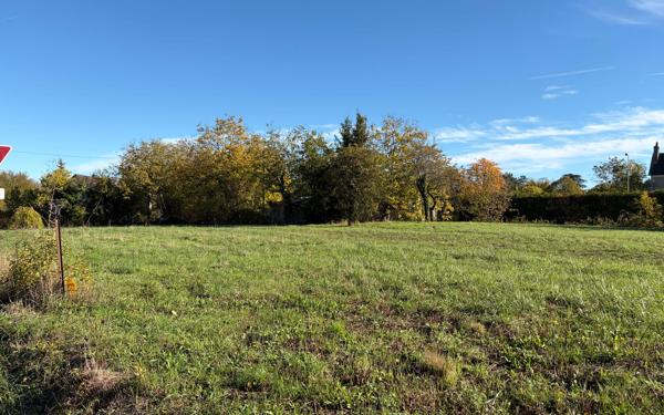 Terrain à vendre