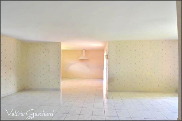 saint seurin sur l'isle 2 maisons + terrain 1289 m²