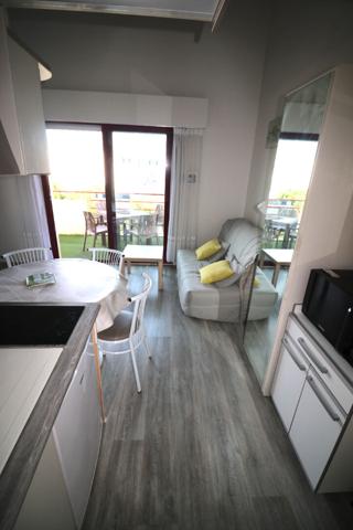 T1 bis - Terrasse - Piscine & parking - Les Minimes,  
La rochelle 17000