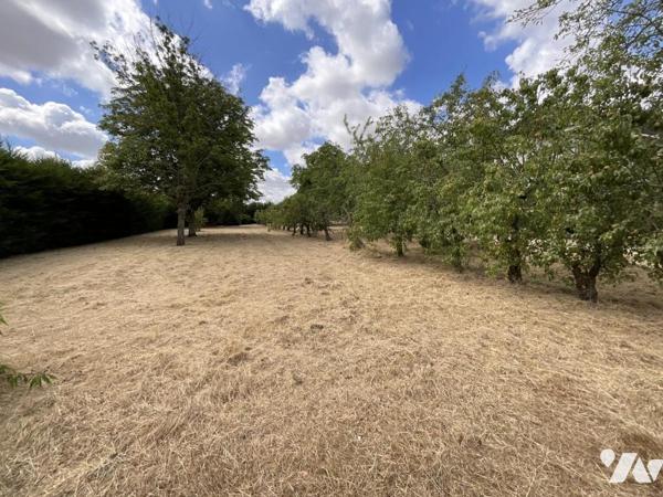 Maison de maître avec jardin paysagé et dépendances