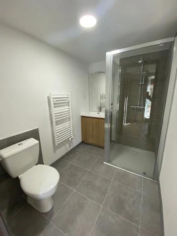 Appartement à louer à Golbey (88190)