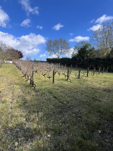 Montjean-sur-Loire (49570) Terrain 795 m²
