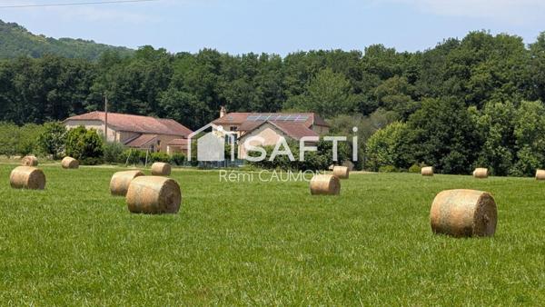 Belle propriété en pierre avec piscine et dépendances