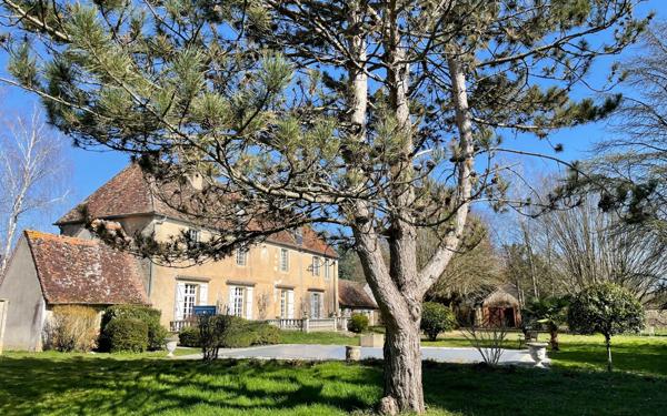 Maison à vendre    7 pièces • 253,89 m2 Bussy