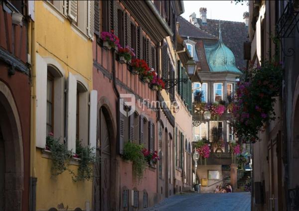 T3 de charme avec terrasse au cœur de Barr