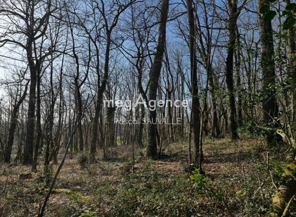 Terrain à CHANCELADE, 24650 - 4400m²