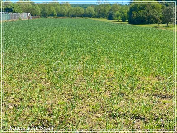 Sur la commune de LALOUBÈRE, cette parcelle en partie constructible sera une opportunité pour vous de réaliser un magnifique projet.