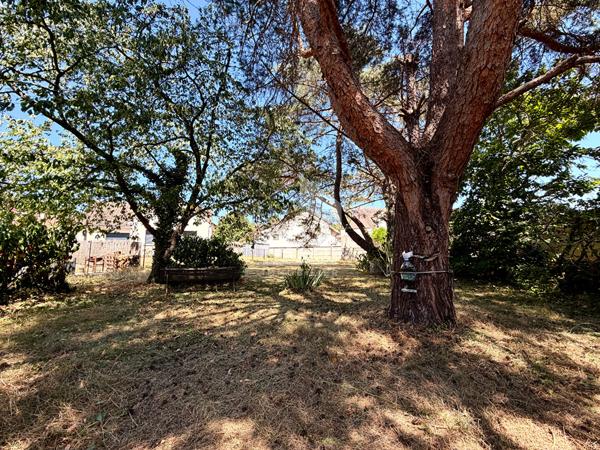Terrain constructible 504m2 BOURRON MARLOTTE