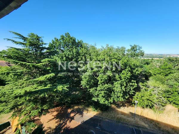 Appartement Toulouse T2 49 m2 avec parking et cave, vue degagee bois, quartier La Terrasse