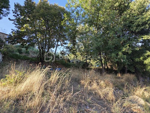 À Vals-les-Bains, découvrez ce terrain constructible de 872 m², situé dans un secteur calme, idéal pour un projet de construction serein.

CU opérationnel

Réseaux en bordure (eau, électricité)

Assainissement individuel

Exposition Sud, offrant une belle luminosité

Environnement paisible, accès facile

Ce terrain présente une configuration agréable et un potentiel intéressant pour une maison lumineuse dans un cadre tranquille.

Une opportunité accessible pour concrétiser un projet de vie ou investir dans un terrain bien placé.