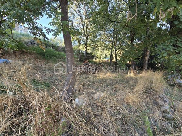 À Vals-les-Bains, découvrez ce terrain constructible de 872 m², situé dans un secteur calme, idéal pour un projet de construction serein.

CU opérationnel

Réseaux en bordure (eau, électricité)

Assainissement individuel

Exposition Sud, offrant une belle luminosité

Environnement paisible, accès facile

Ce terrain présente une configuration agréable et un potentiel intéressant pour une maison lumineuse dans un cadre tranquille.

Une opportunité accessible pour concrétiser un projet de vie ou investir dans un terrain bien placé.
