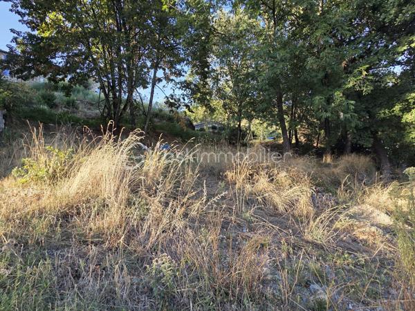 À Vals-les-Bains, découvrez ce terrain constructible de 872 m², situé dans un secteur calme, idéal pour un projet de construction serein.

CU opérationnel

Réseaux en bordure (eau, électricité)

Assainissement individuel

Exposition Sud, offrant une belle luminosité

Environnement paisible, accès facile

Ce terrain présente une configuration agréable et un potentiel intéressant pour une maison lumineuse dans un cadre tranquille.

Une opportunité accessible pour concrétiser un projet de vie ou investir dans un terrain bien placé.