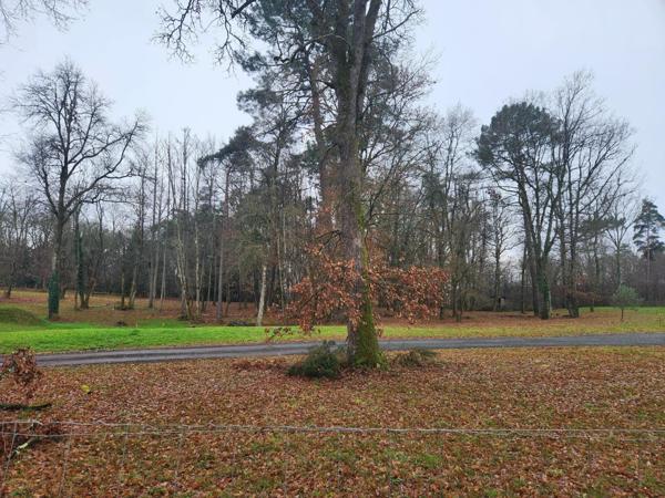 Terrain à CHANCELADE, 24650 - 1250m²