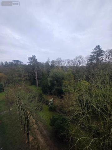 Appartement à vendre à Angers dans le Maine-et-Loire (49000), ref : 49115/APPT/519 ROSERAIE Appartement à vendre à Angers dans le Maine-et-Loire (49000), ref : 49115/APPT/519 ROSERAIE Appartement à vendre à Angers dans le Maine-et-Loire (49000), ref : 49115/APPT/519 ROSERAIE