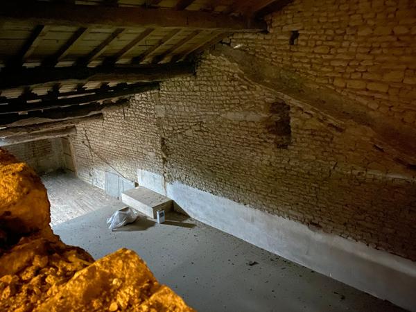 Ancien logis avec dépendances et grand jardin clos Matha (17160)