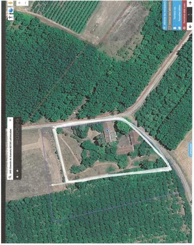 82130, 15 Min. de Montauban, entre Lafrançaise et Moissac, fermette habitable  de 201 m2 de 7 pièces et 4 chambres