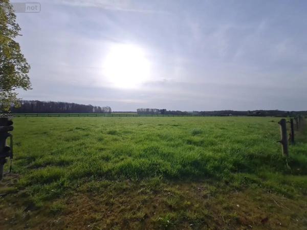 Achat - Maison Saint-Martin-des-Bois 41800 3 pièces 89 m 2 13081 m 2