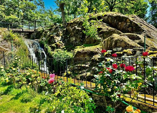 Maison à vendre    8 pièces • 495 m2 Verneuil-sur-Vienne