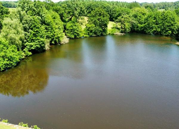 Maison à vendre    8 pièces • 495 m2 Verneuil-sur-Vienne