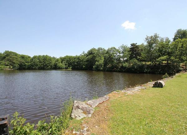 Maison à vendre    8 pièces • 495 m2 Verneuil-sur-Vienne