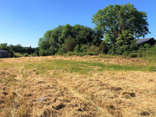 Terrain
        
        - 4463 m² Exclusivité 200 000 €*