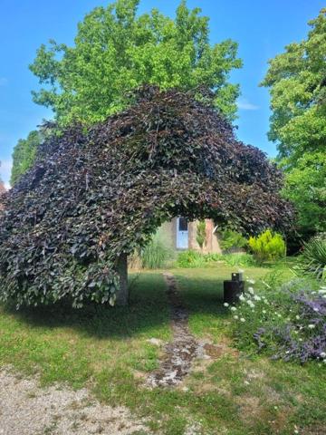 Vente / Maison T4