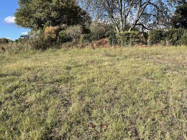 SAINT SAVIN - TERRAIN A BATIR