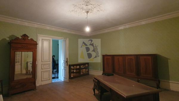Vente maison de ville Gente (16130), 441.00m² avec 11 pièce(s) dont 6 chambre(s) sur 6500.00m² de terrain. Agence Allard Brimeaud
