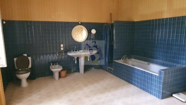 Vente maison de ville Gente (16130), 441.00m² avec 11 pièce(s) dont 6 chambre(s) sur 6500.00m² de terrain. Agence Allard Brimeaud