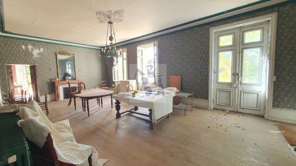 Vente maison de ville Gente (16130), 441.00m² avec 11 pièce(s) dont 6 chambre(s) sur 6500.00m² de terrain. Agence Allard Brimeaud