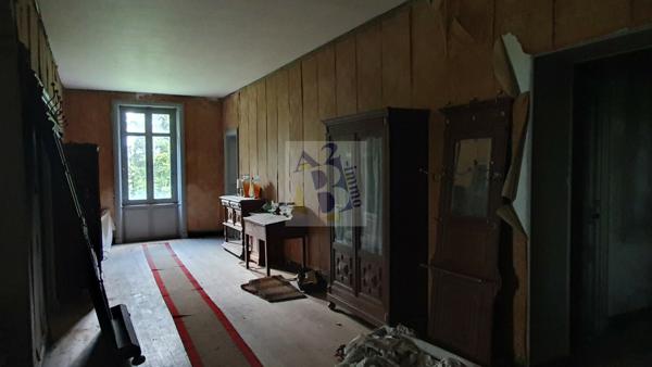 Vente maison de ville Gente (16130), 441.00m² avec 11 pièce(s) dont 6 chambre(s) sur 6500.00m² de terrain. Agence Allard Brimeaud