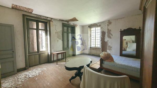 Vente maison de ville Gente (16130), 441.00m² avec 11 pièce(s) dont 6 chambre(s) sur 6500.00m² de terrain. Agence Allard Brimeaud