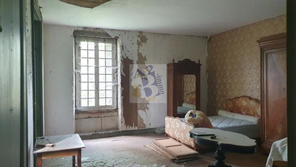 Vente maison de ville Gente (16130), 441.00m² avec 11 pièce(s) dont 6 chambre(s) sur 6500.00m² de terrain. Agence Allard Brimeaud
