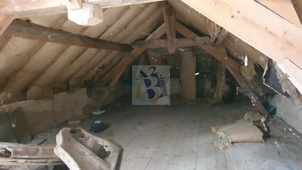 Vente maison de ville Gente (16130), 441.00m² avec 11 pièce(s) dont 6 chambre(s) sur 6500.00m² de terrain. Agence Allard Brimeaud