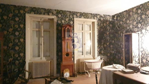 Vente maison de ville Gente (16130), 441.00m² avec 11 pièce(s) dont 6 chambre(s) sur 6500.00m² de terrain. Agence Allard Brimeaud