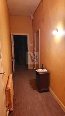 Vente maison de ville Gente (16130), 441.00m² avec 11 pièce(s) dont 6 chambre(s) sur 6500.00m² de terrain. Agence Allard Brimeaud