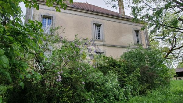 Vente maison de ville Gente (16130), 441.00m² avec 11 pièce(s) dont 6 chambre(s) sur 6500.00m² de terrain. Agence Allard Brimeaud