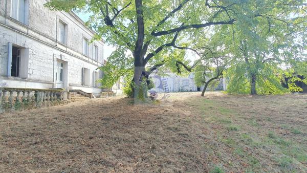 Vente maison de ville Gente (16130), 441.00m² avec 11 pièce(s) dont 6 chambre(s) sur 6500.00m² de terrain. Agence Allard Brimeaud