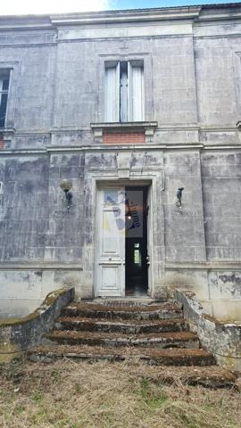 Vente maison de ville Gente (16130), 441.00m² avec 11 pièce(s) dont 6 chambre(s) sur 6500.00m² de terrain. Agence Allard Brimeaud