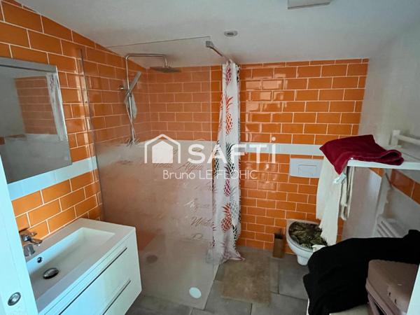 Magnifique maison de 234m²avec son parc