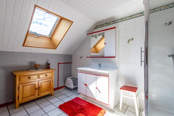 Maison 172m², 4ch+Mezza+pièce, ss-sol, 12 ares, Aveney