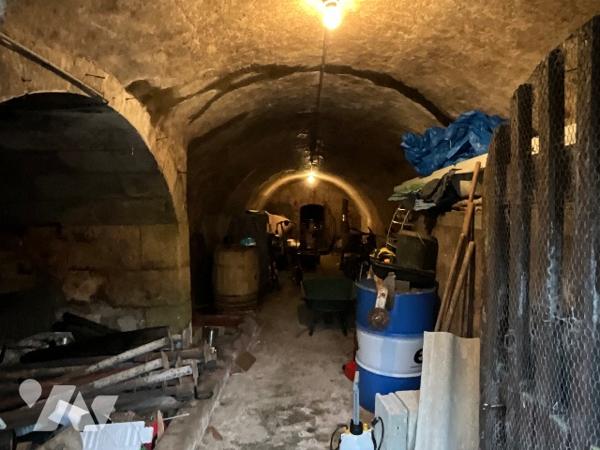 REUGNY (37380) - Maison récente avec dépendances d’antan
A 30 min de Tours et 20 min d’Amboise