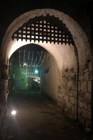 Magnifique ensemble appartement, commerce, grange