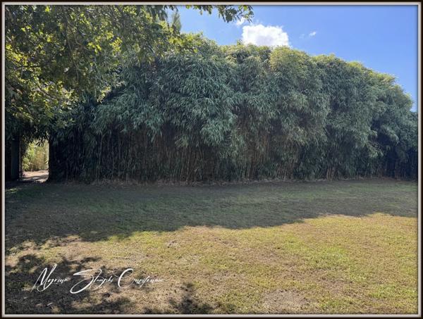 Maison à vendre 3 pièces de 116 m² BENESSE MAREMNE (40) MAISON DE PLAIN-PIED